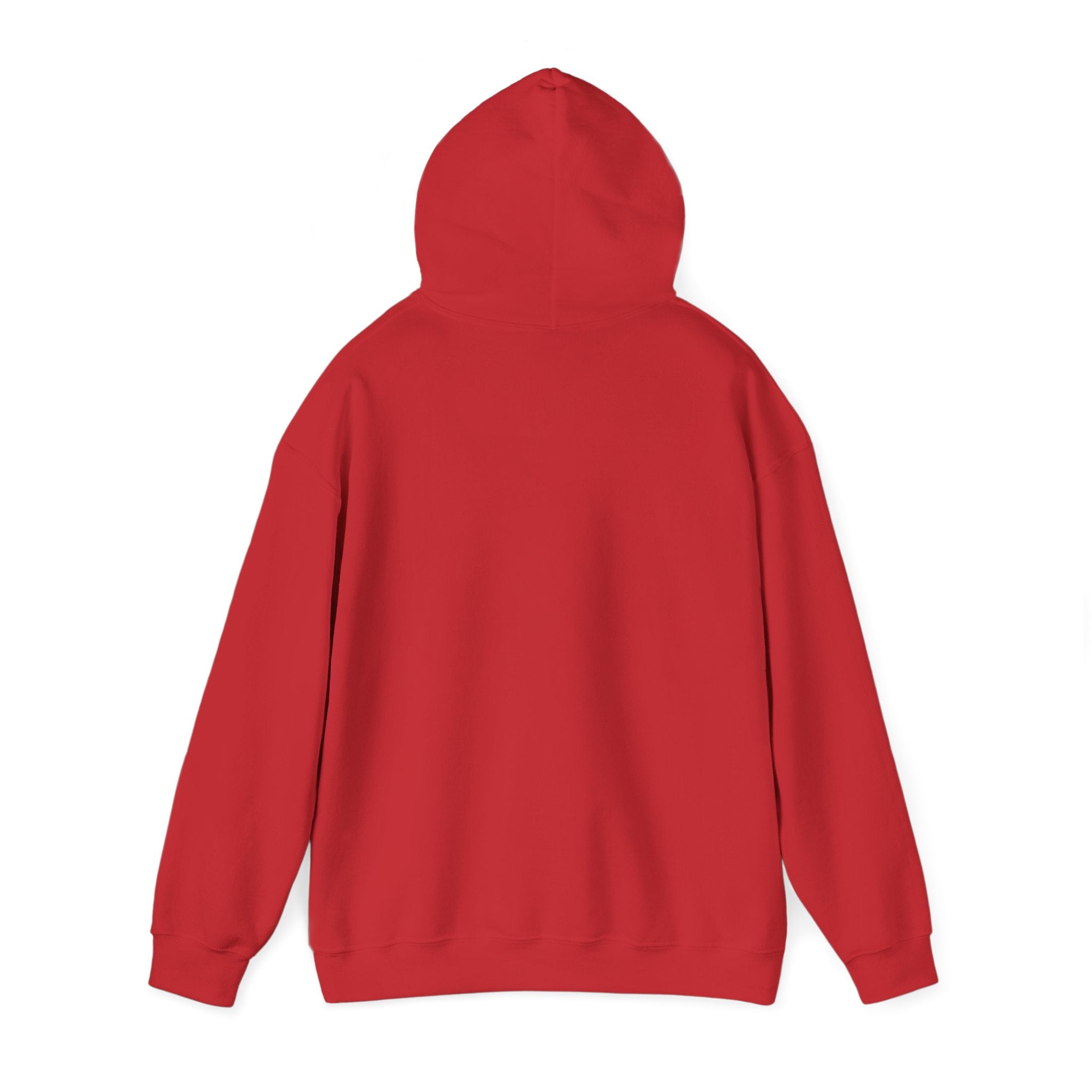 World Peace Earth Illustration Hoodie | Earth with People Circle