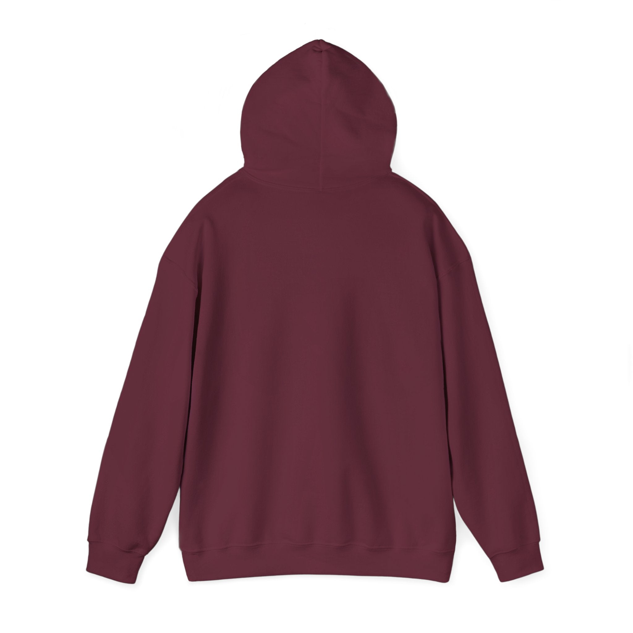 World Peace Earth Illustration Hoodie | Earth with People Circle